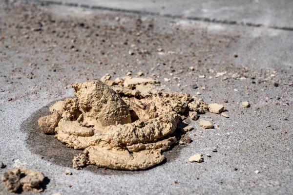 Driveway Slab Leveling in Redmond